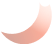 Vector